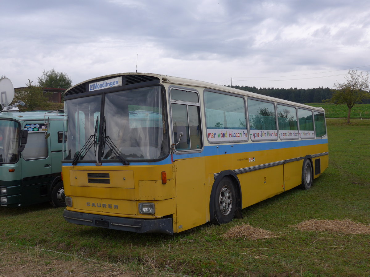 (174'067) - Aus der Schweiz: Hilariverein, Flurlingen - Saurer/Hess (ex P 25'826) am 20. August 2016 in Bsingen, Bahnhof