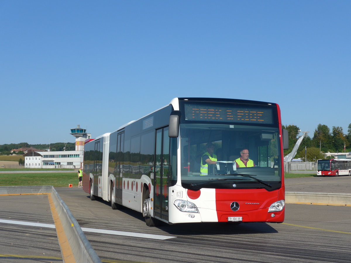 (174'396) - TPF Fribourg - Nr. 124/FR 300'383 - Mercedes am 28. August 2016 in Estavayer-le-Lac, ESAF