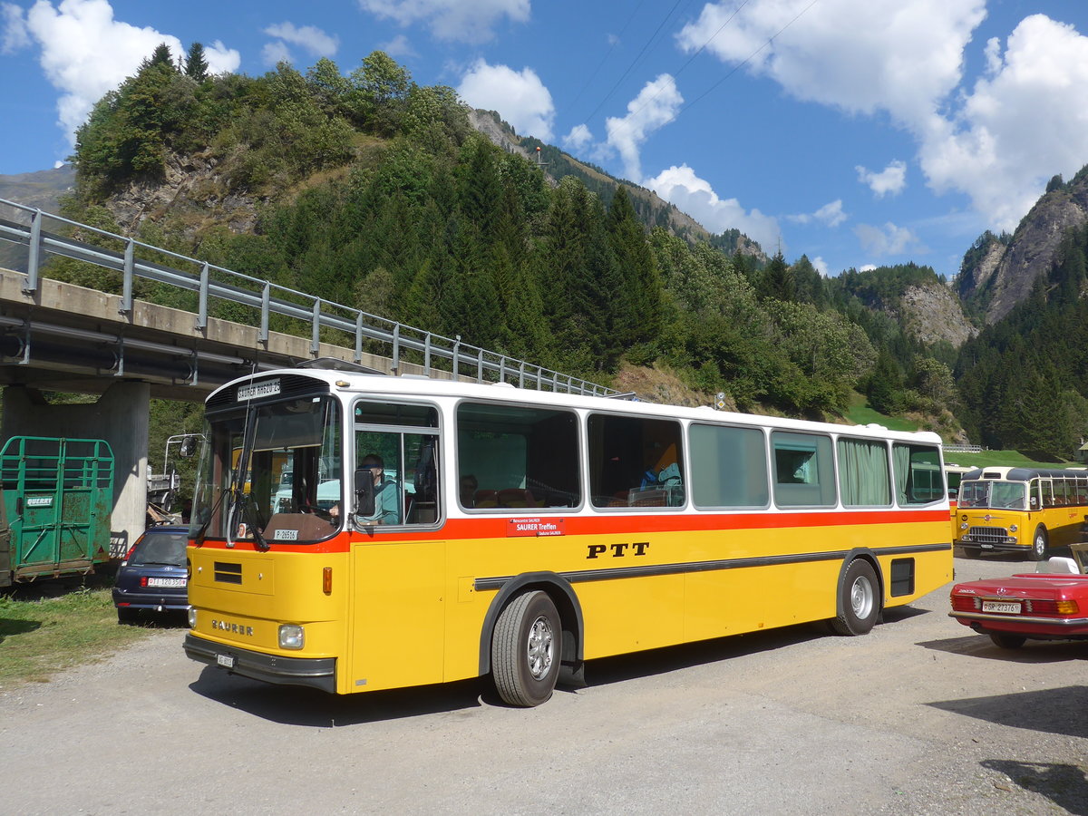 (174'775) - Gloor, Staufen - AG 6013 - Saurer/Hess (ex ALMAT, Tagelswangen; ex P 26'516) am 10. September 2016 in Campo, Saurertreffen