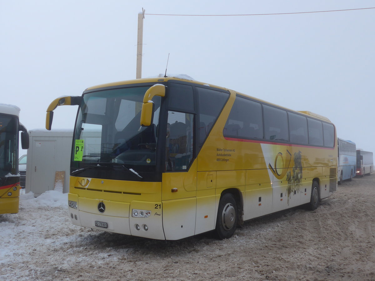 (177'967) - Tschannen, Zofingen - Nr. 21/AG 178'801 - Mercedes am 8. Januar 2017 in Adelboden, Weltcup