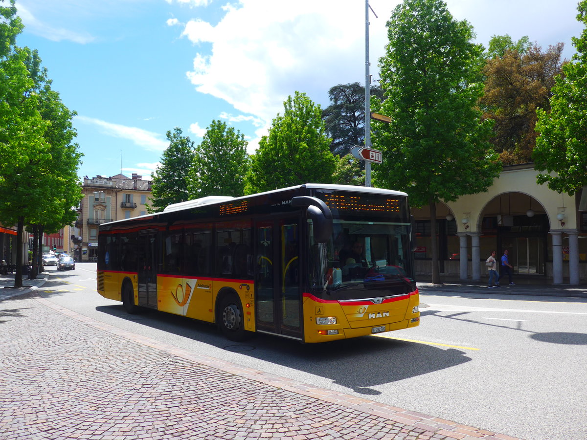 (180'097) - Starnini, Tenero - TI 262'700 - MAN am 13. Mai 2017 beim Bahnhof Locarno