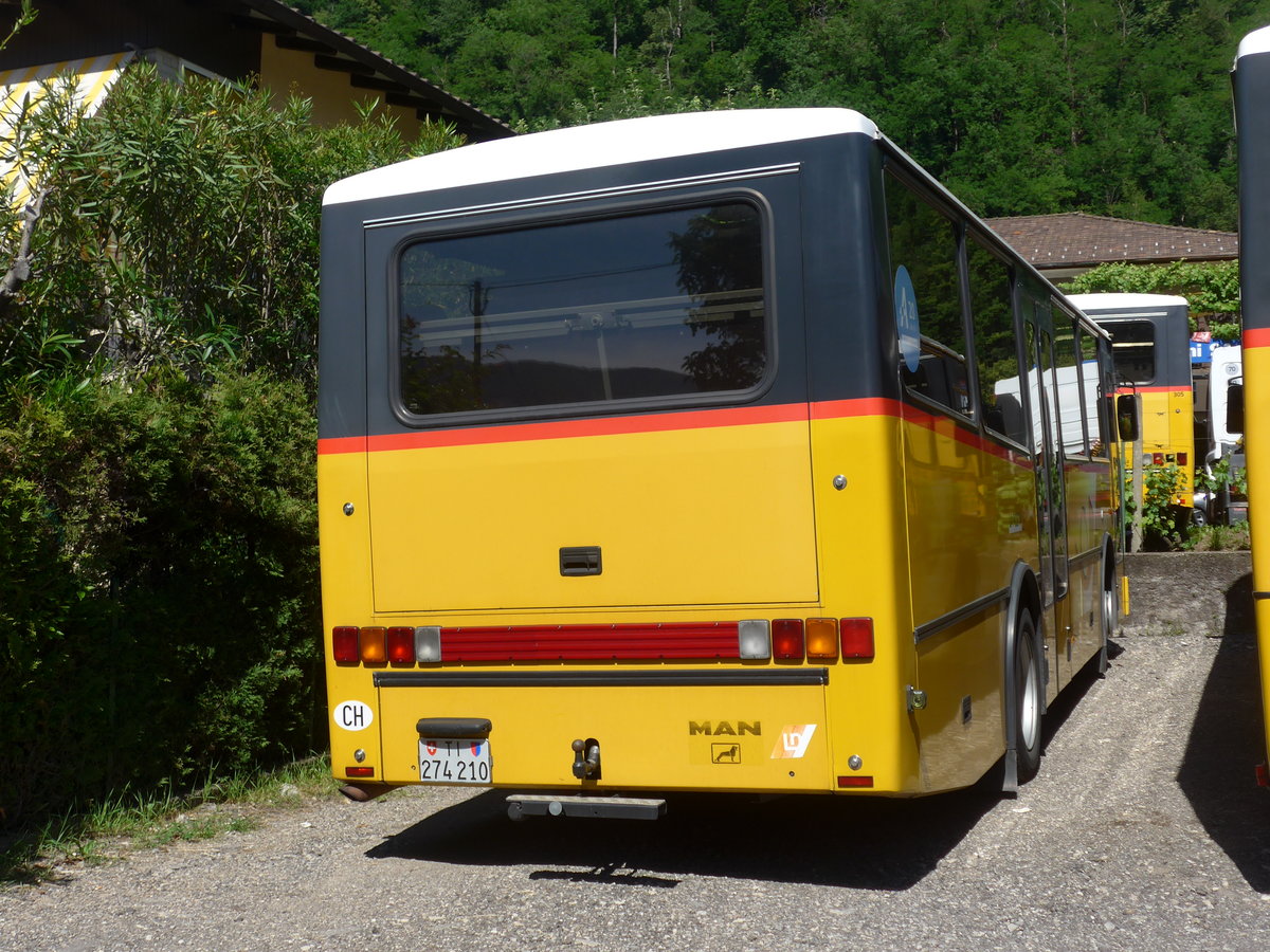 (180'601) - Merzaghi, Maroggia - TI 274'210 - MAN/Lauber (ex AutoPostale Ticino Nr. 303; ex P 23'024) am 23. Mai 2017 in Maroggia, Garage