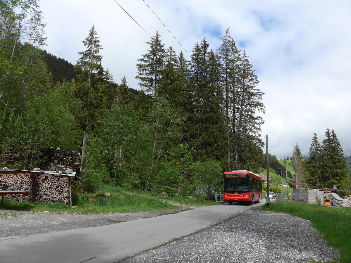 (180'972) - AFA Adelboden - Nr. 55/BE 611'055 - Scania/Hess am 4. Juni 2017 in Adelboden, Schermtanne