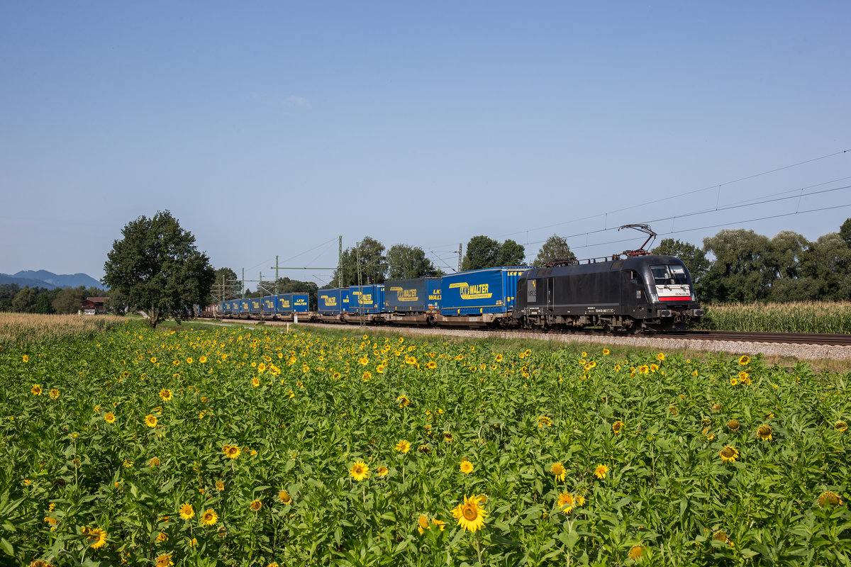 182 562 mit dem  Walter -Zug am 26. August 2017 bei bersee am Chiemsee.