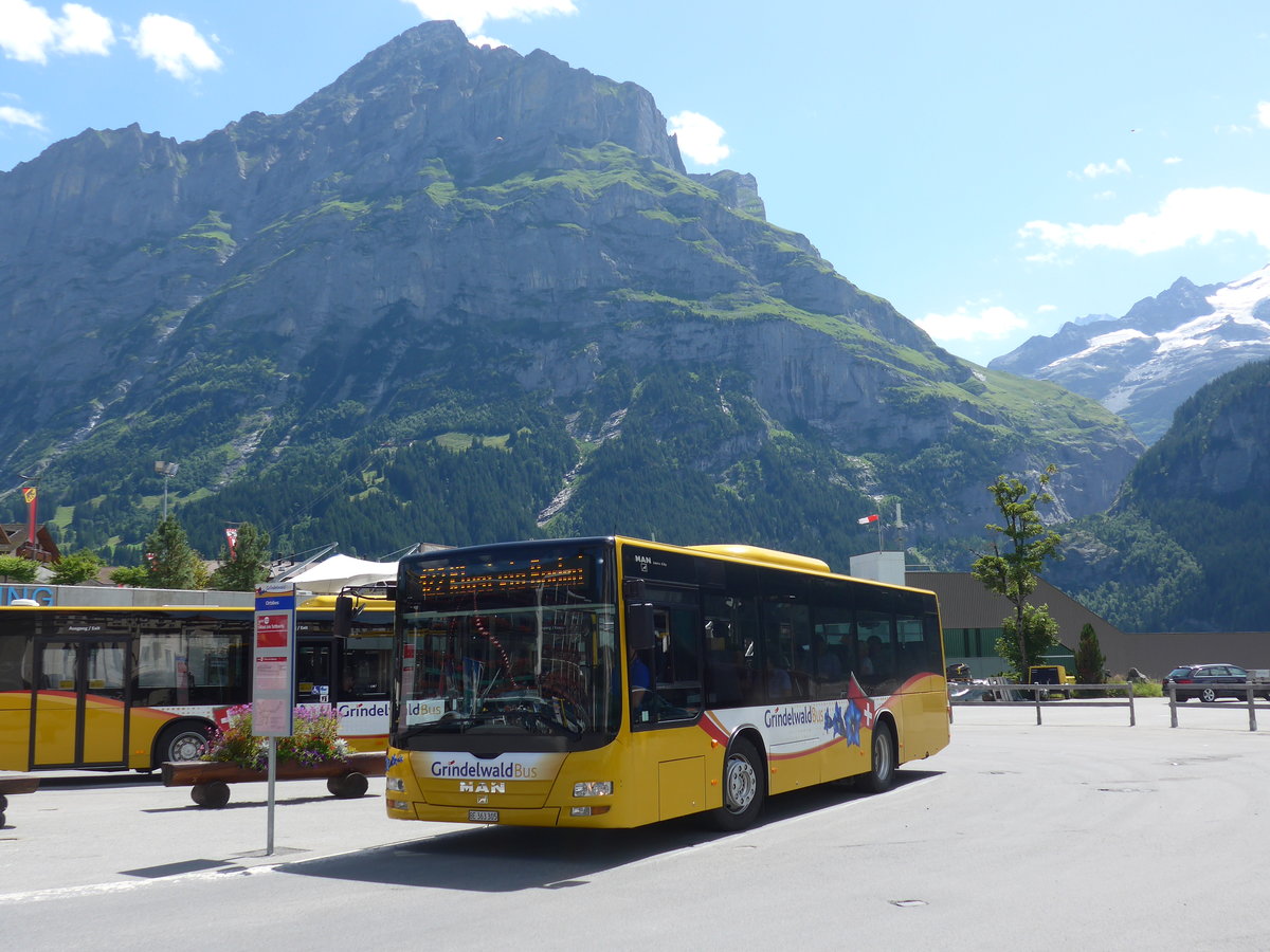 (182'364) - AVG Grindelwald - Nr. 19/BE 363'305 - MAN/Gppel am 30. Juli 2017 beim Bahnhof Grindelwald