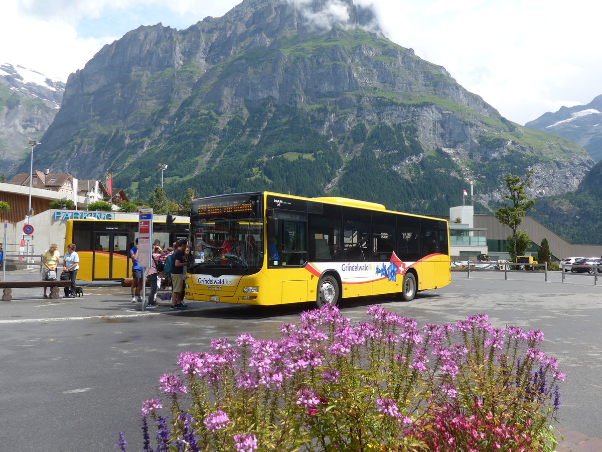 (182'398) - AVG Grindelwald - Nr. 19/BE 363'305 - MAN/Gppel am 30. Juli 2017 beim Bahnhof Grindelwald