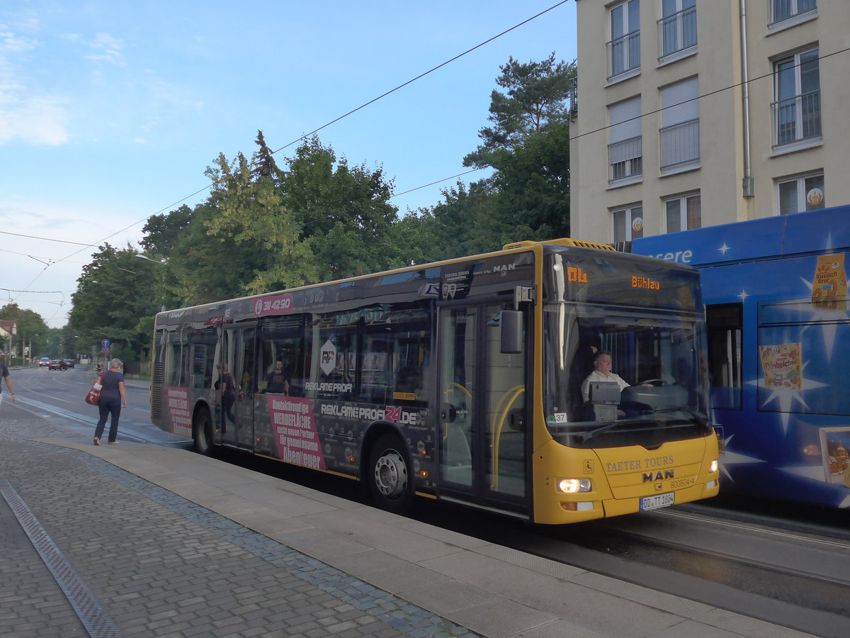 (183'122) - Taeter, Dresden - Nr. 900'804/DD-TT 1804 - MAN am 9. August 2017 in Dresden, Schillerplatz