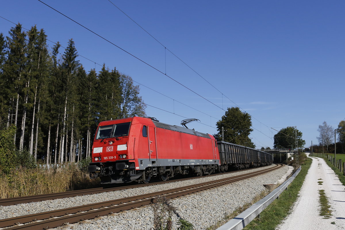 185 339 mit dem  Aicher-Zug  aus Freilassing kommend am 22. Oktober 2018 bei Grabensttt.