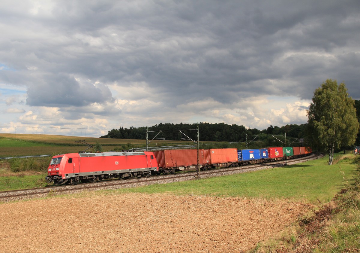 185 363-9 mit einem Containerzug am 30. August 2014 bei Sinngrn, in der Nhe von Regensburg.