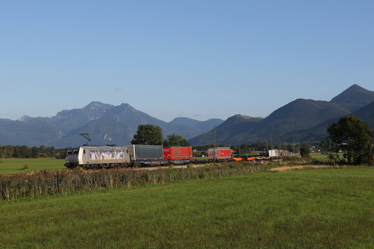 185 540  Kassel Huskies  mit einem  KLV  am 2. September 2021 bei Bernau.