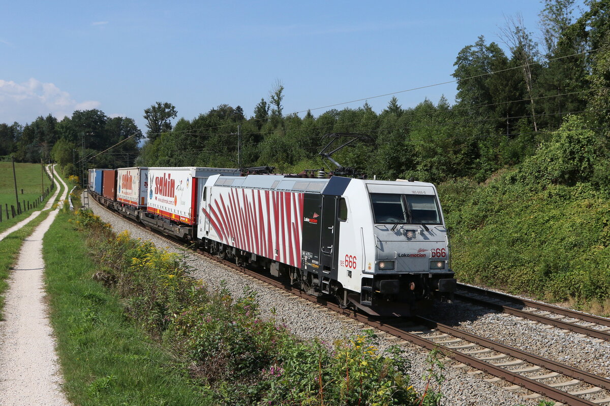 185 666 kurze Zeit spter am 30. August 2022 bei Grabensttt im Chiemgau.