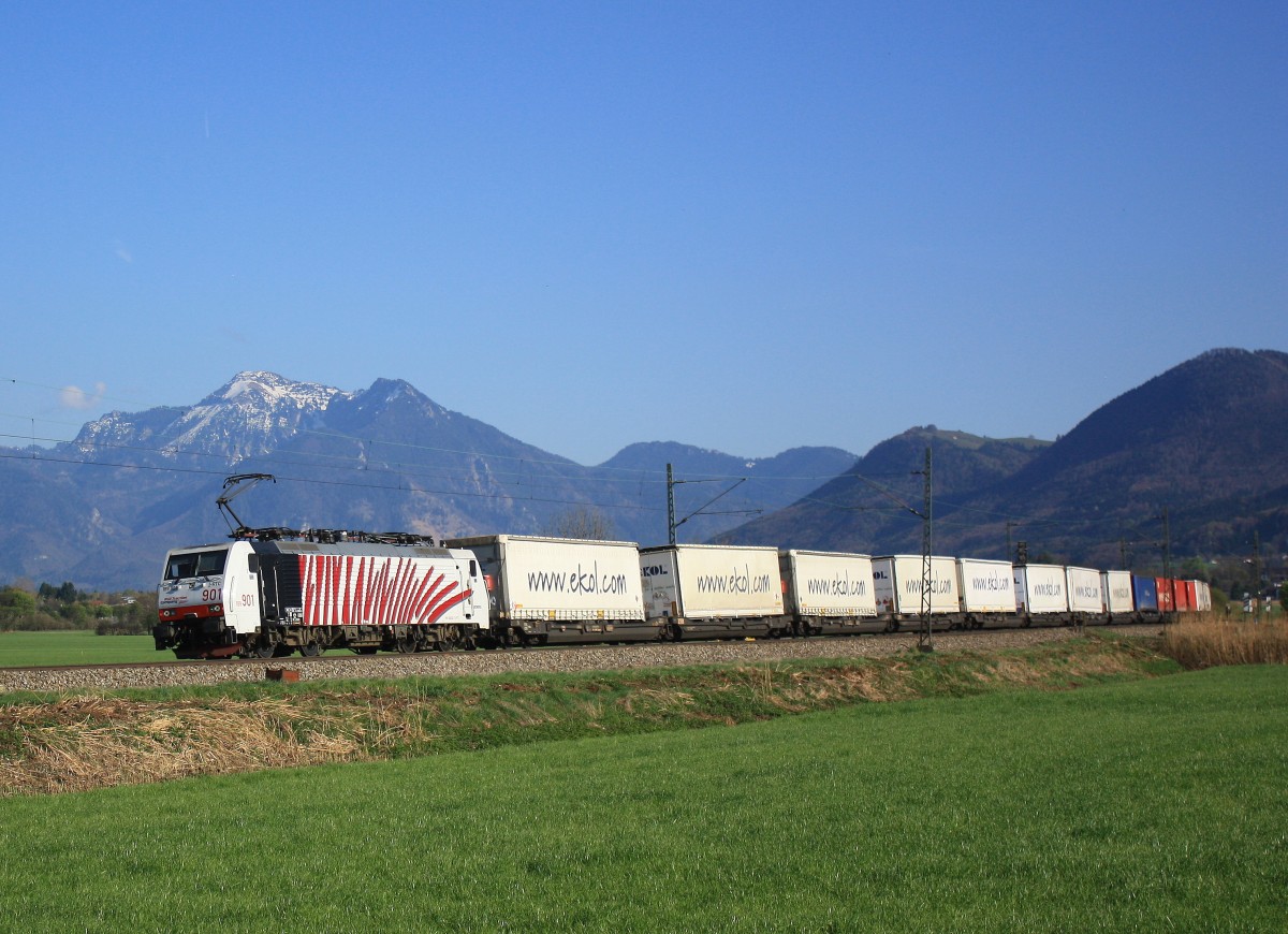 189 901 am 7. April 2014 mit dem  EKOL -Zug bei Bernau am Chiemsee.