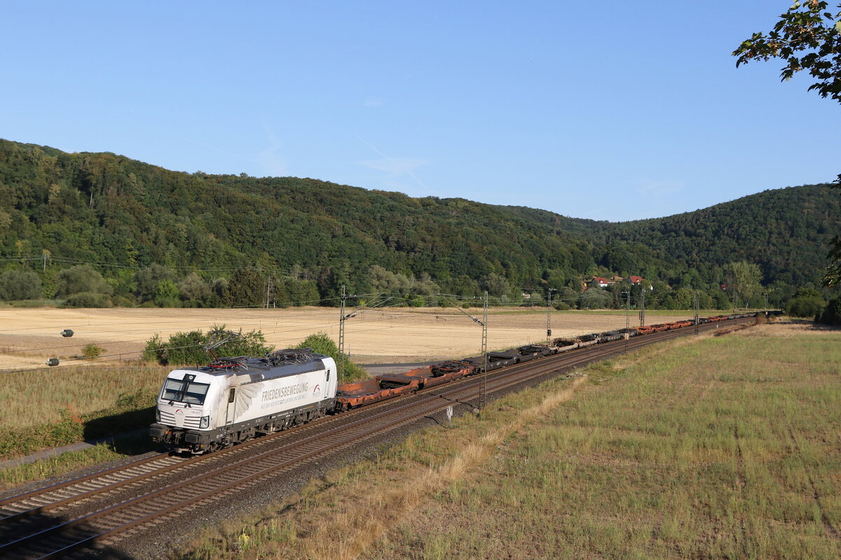 193 617  Peace Movement  mit leeren Containertragwagen am 8. August 2022 bei Harrbach.