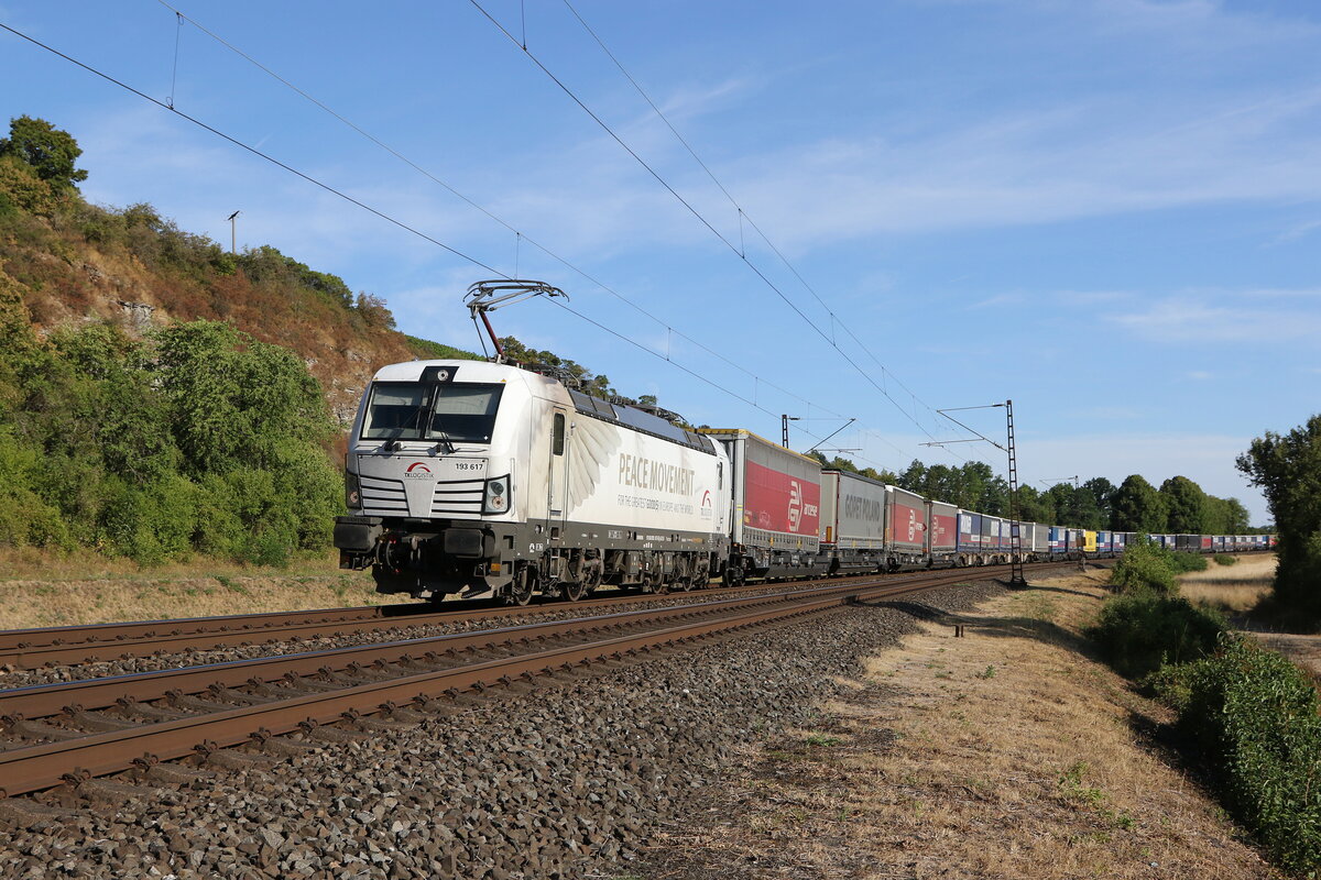 193 617  Peace Movement  von  TX-Logistik  mit einem Containerzug aus Wrzburg kommend am 7. August 2022 bei Himmelstadt am Main.