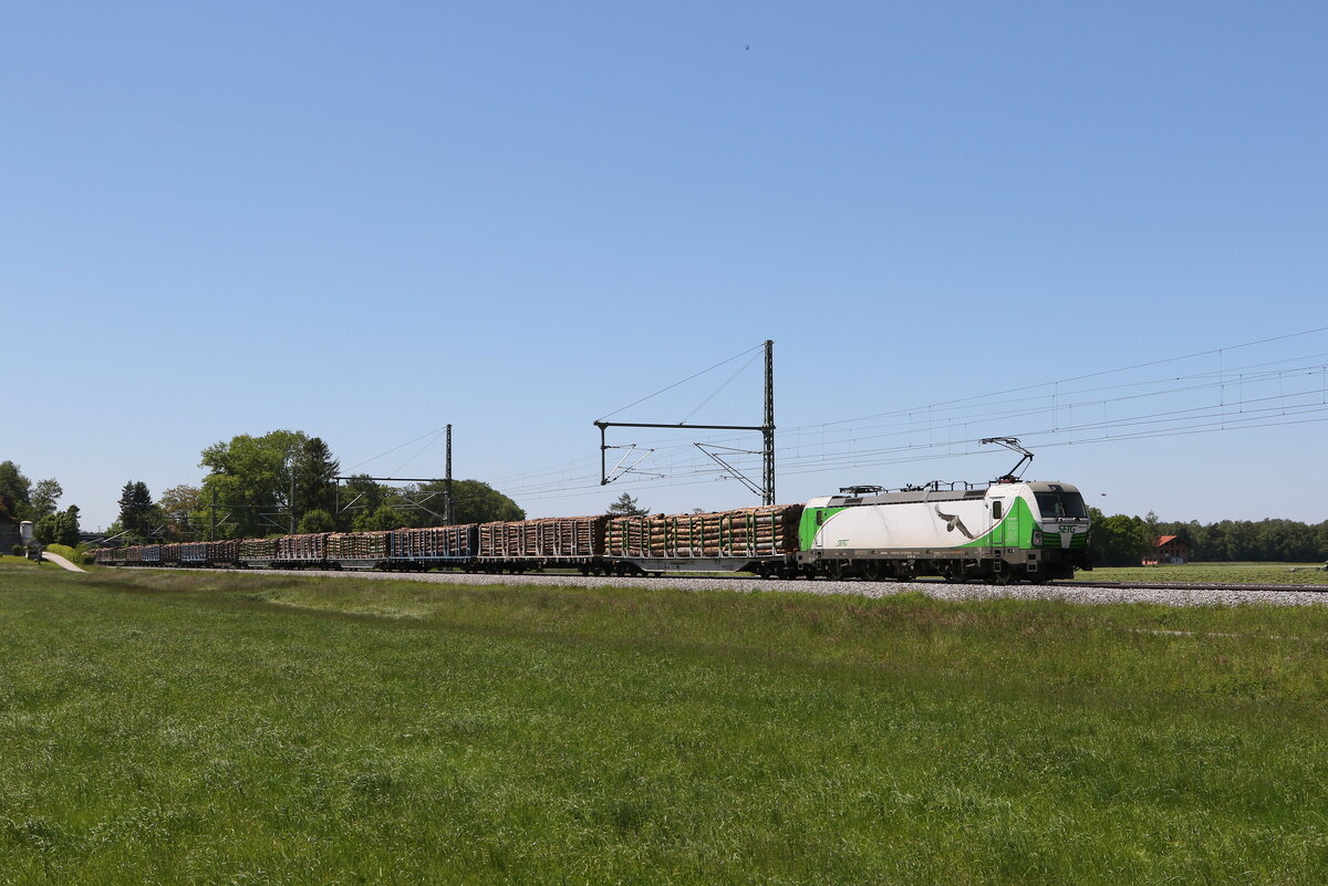 193 814 mit einem  Holzzug  aus Mnchen kommend am 1. Juni 2021 bei bersee am Chiemsee.