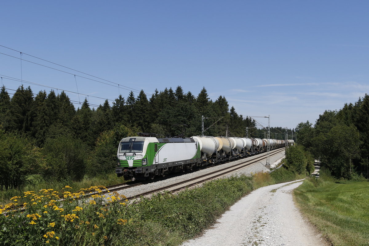 193 814 mit einem Schlammkreidezug am 12. August 2018 bei Grabensttt.