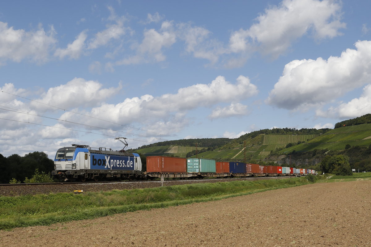 193 841 mit einem Contaiernzug am 19. August 2017 im Maintal bei Himmelstadt. 