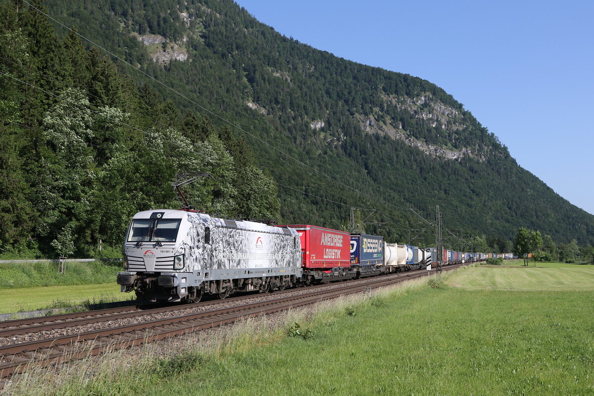 193 997 die  Pferdelok  war mit einem KLV am 14. Juni 2023 bei Niederaudorf im Inntal unterwegs.