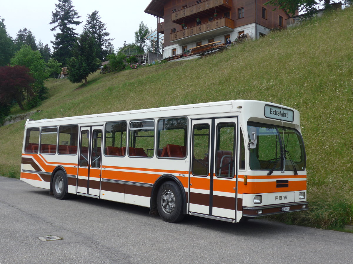 (193'673) - Wegmller, Mnsingen - BE 399'675 - FBW/R&J (ex Bamert, Wollerau) am 3. Juni 2018 beim Bahnhof Emmenmatt