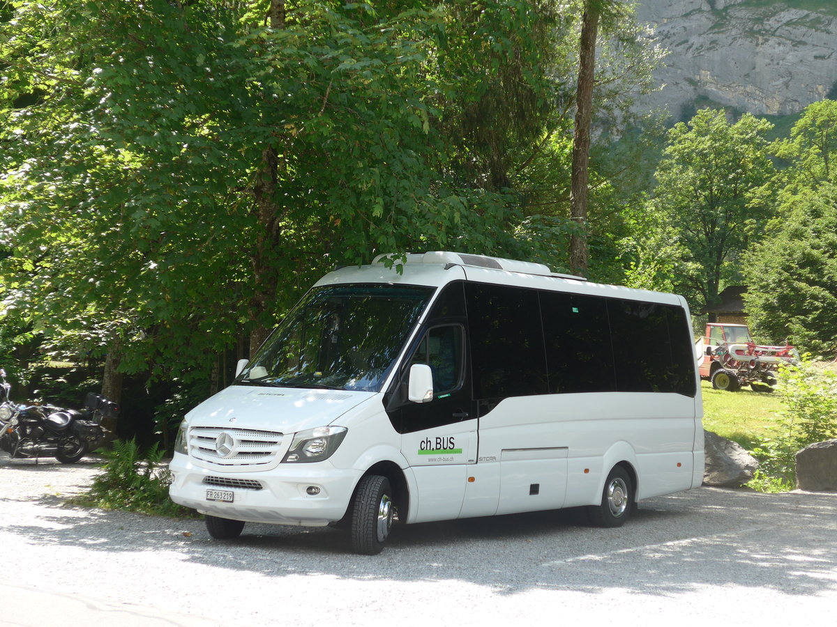 (194'439) - Busmiete, Mnchenstein - FR 263'219 - Mercedes/Sitcar am 25. Juni 2018 in Trmmelbach, Trmmelbachflle