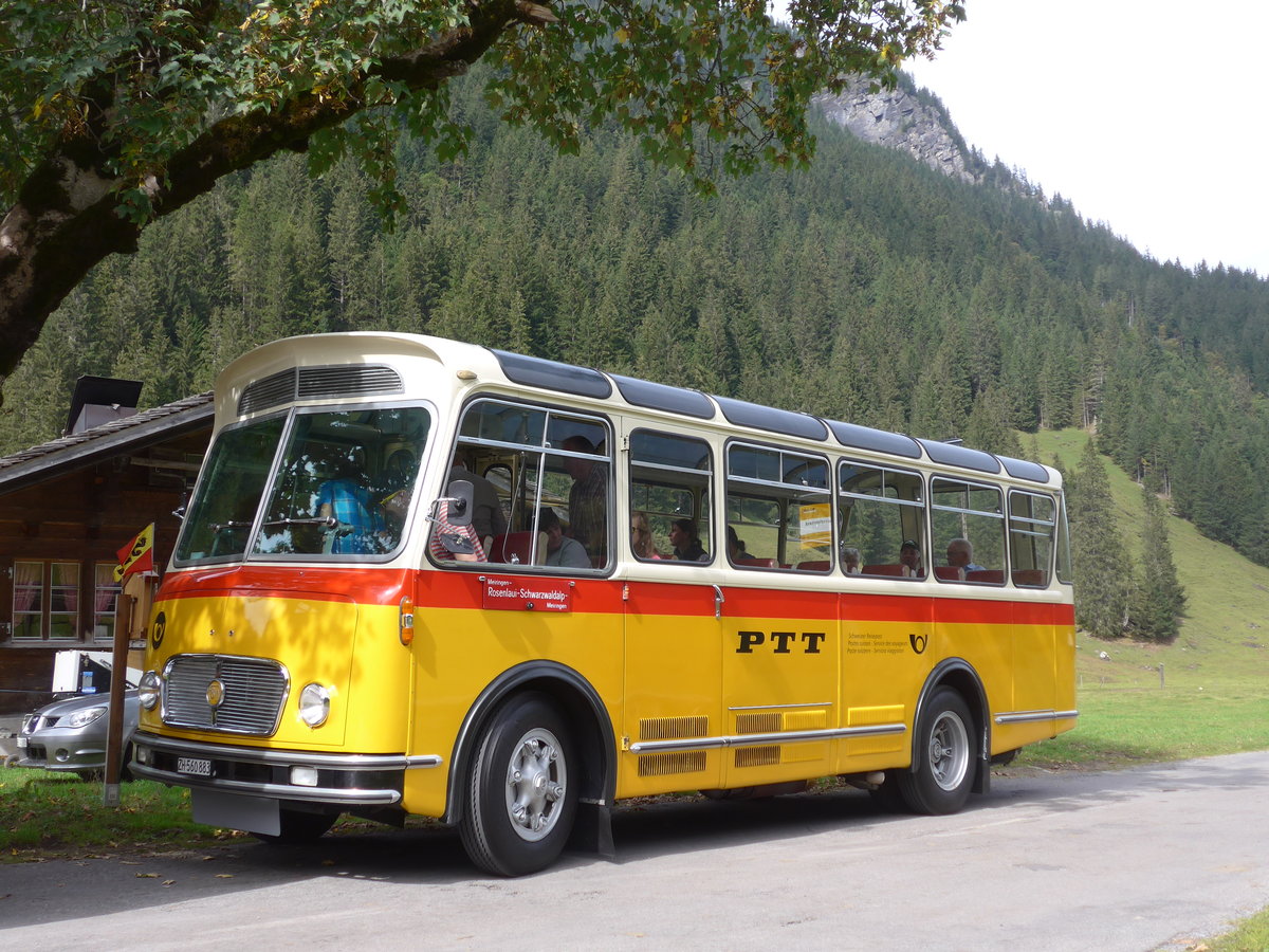 (197'777) - Frutig, Birmensdorf - ZH 560'883 - FBW/FHS (ex P 23'217) am 16. September 2018 in Gschwandtenmaad