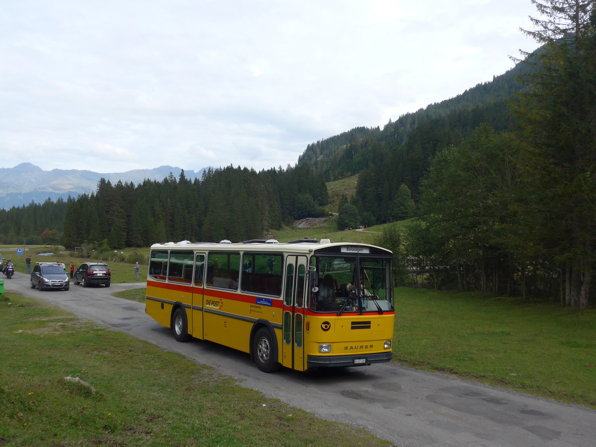 (197'783) - AVG Meiringen - Nr. 74/BE 607'481 - Saurer/R&J (ex PostAuto Berner Oberland; ex P 24'357) am 16. September 2018 in Gschwandtenmaad