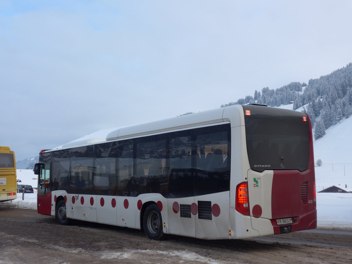 (200'831) - TPF Fribourg (Wieland 76) - Nr. 612/FR 300'241 - Mercedes am 12. Januar 2019 in Adelboden, Weltcup