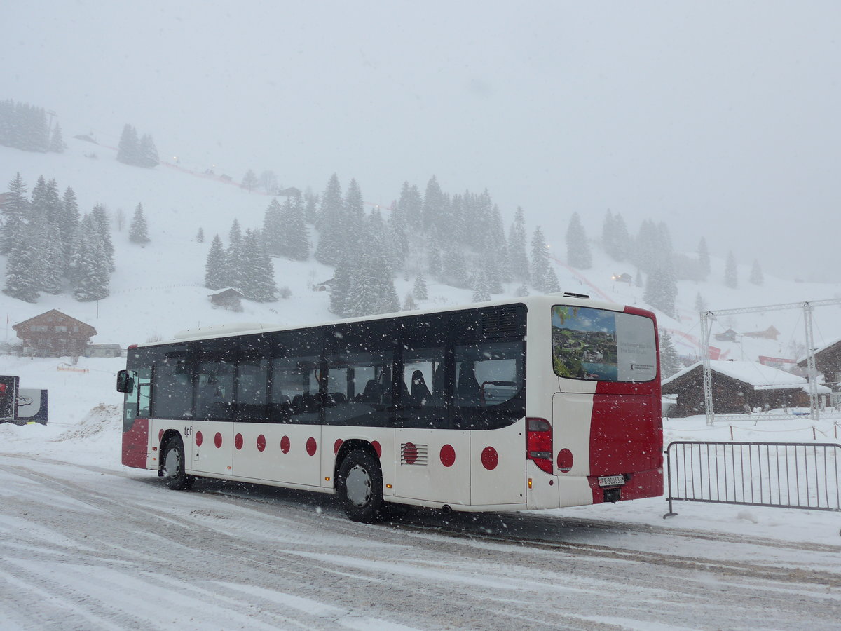 (201'145) - Wieland, Murten - Nr. 58/FR 300'636 - Setra am 13. Januar 2019 in Adelboden, Weltcup