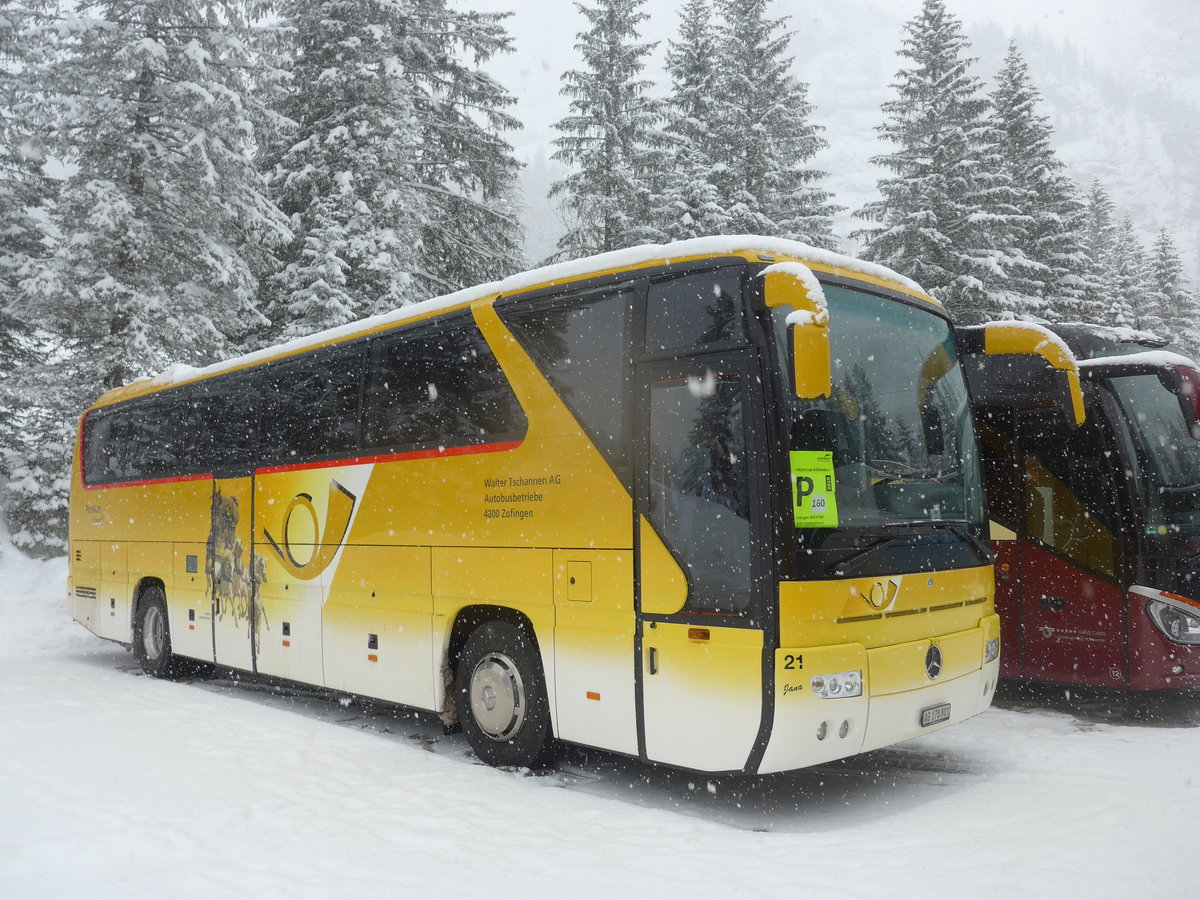 (201'175) - Tschannen, Zofingen - Nr. 21/AG 178'801 - Mercedes am 13. Januar 2019 in Adelboden, Unter dem Birg