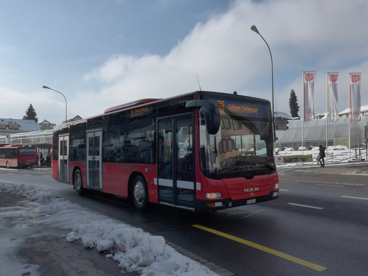 (201'451) - Bernmobil, Bern - Nr. 421/BE 716'412 - MAN am 4. Februar 2019 in Kniz, Weiermatt