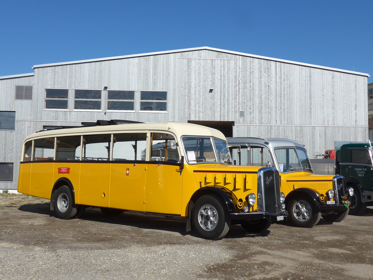 (205'757) - Baumgartner, Horn - SG 329'300 - Saurer/Tscher (ex Bucheli, Kriens Nr. 10; ex Grni, Udligenswil) am 8. Juni 2019 in Thayngen, Saurertreffen 