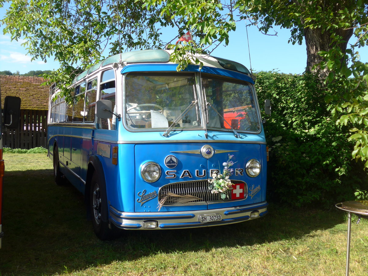 (205'761) - Bolliger, Stetten - SH 30'730 - Saurer/R&J (ex Solr+Fontana, Ilanz Nr. 8) am 8. Juni 2019 in Thayngen, Saurertreffen