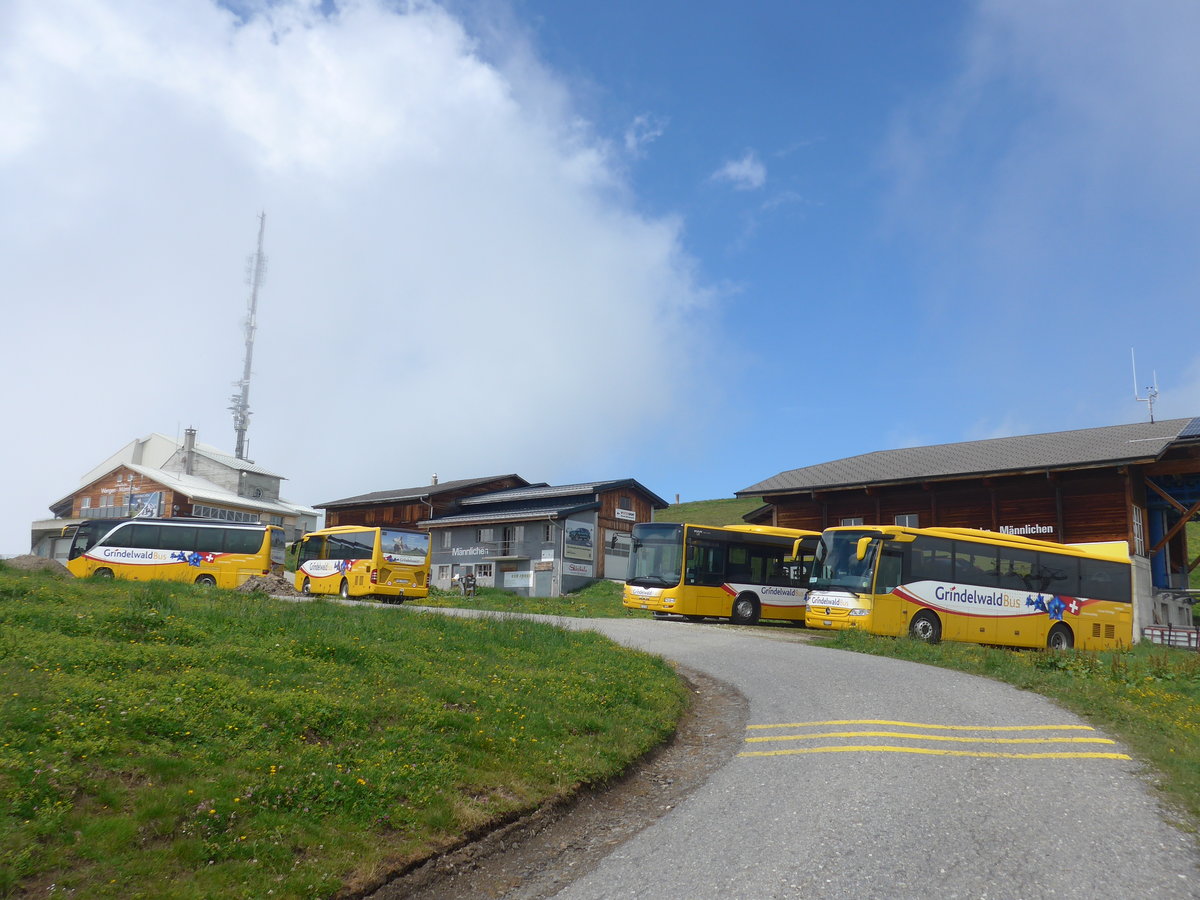 (207'710) - AVG Grindelwald - Nr. 26/BE 268'737 - Setra + Nr. 25/BE 73'249 - Mercedes + Nr. 19/BE 363'305 - MAN/Gppel + Nr. 30/BE 171'240 - Mercedes am 9. Juli 2019 auf dem Mnnlichen