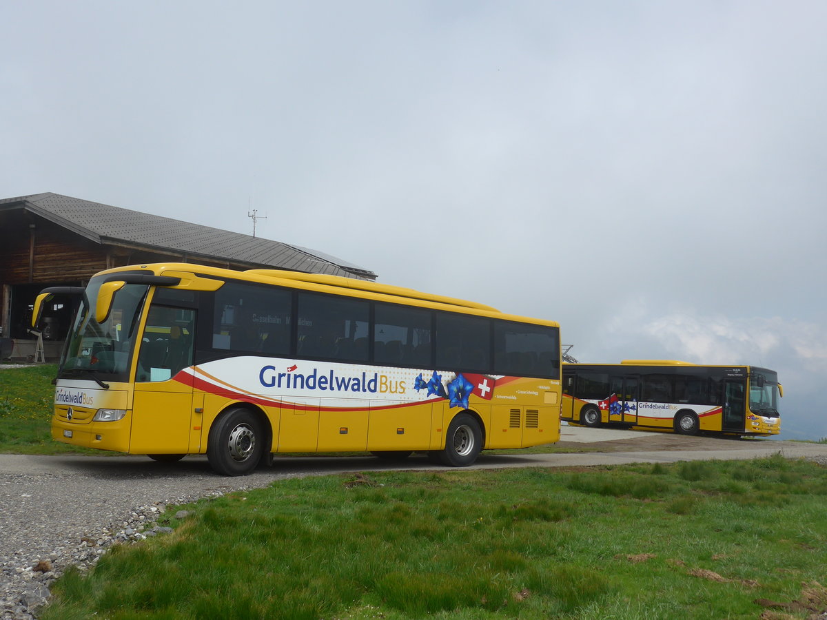 (207'718) - AVG Grindelwald - Nr. 25/BE 73'249 - Mercedes am 9. Juli 2019 auf dem Mnnlichen