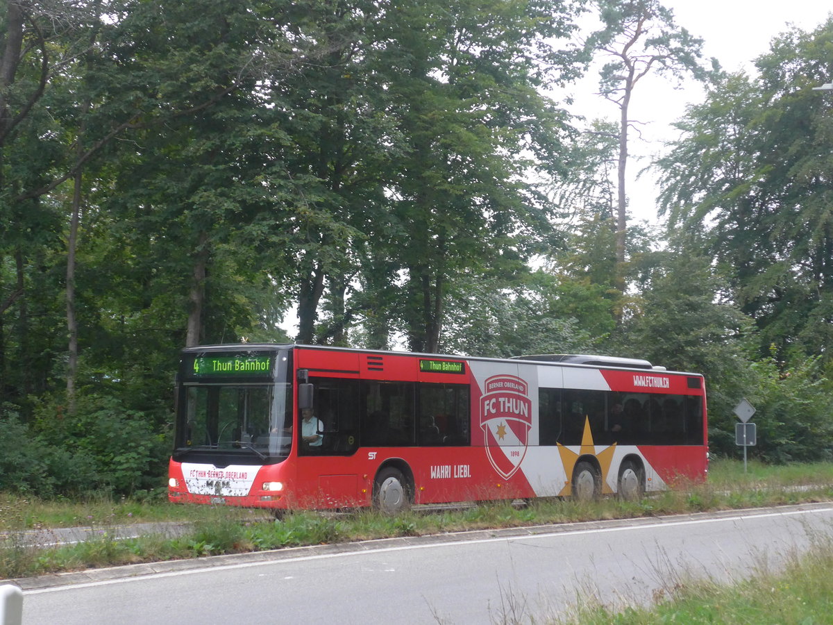 (209'058) - STI Thun - Nr. 149/BE 801'149 - MAN am 23. August 2019 in Thierachern, Thunstrasse