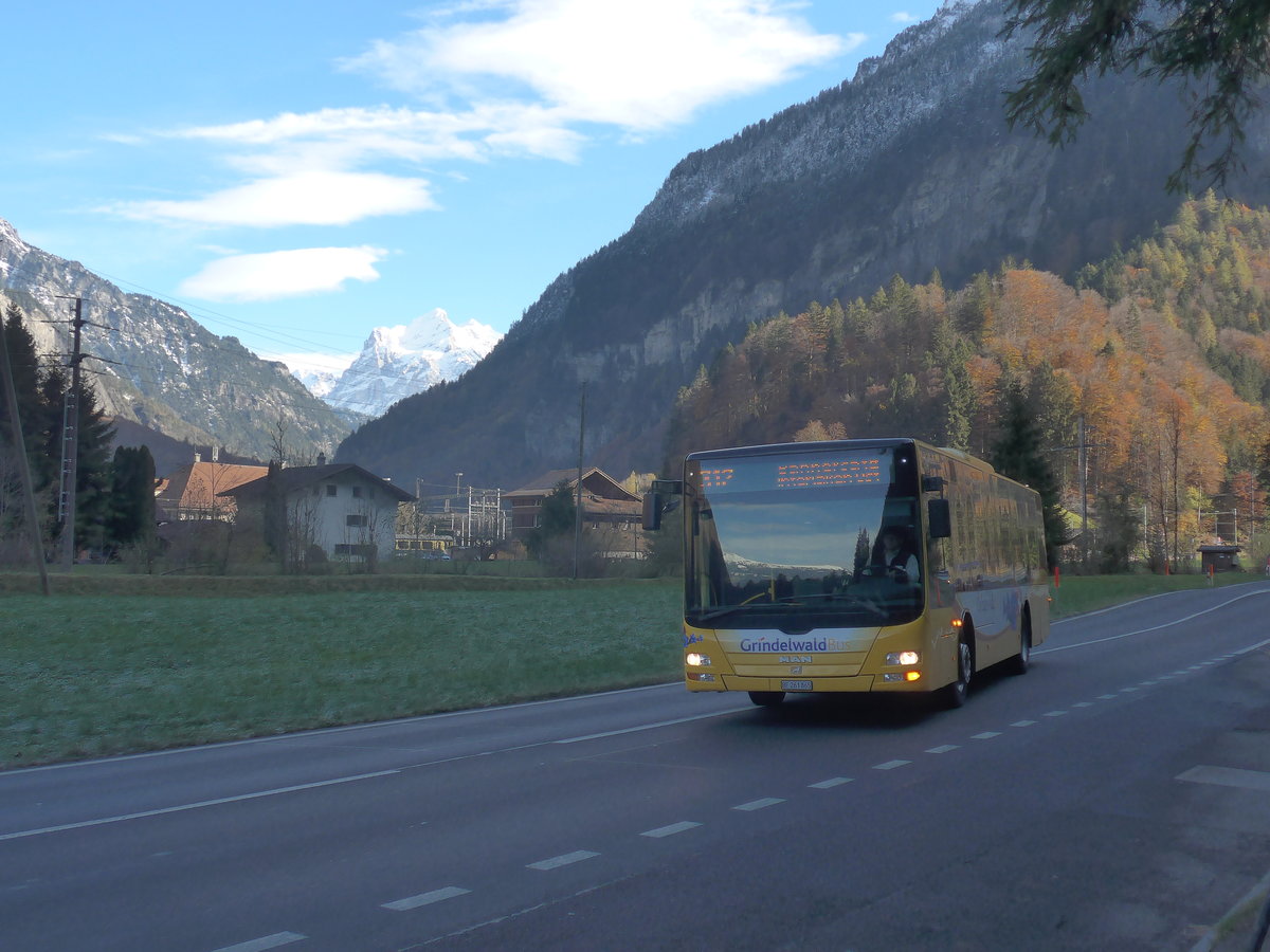 (211'001) - AVG Grindelwald - Nr. 11/BE 261'865 - MAN/Gppel am 11. November 2019 in Zweiltschinen, Abzweigung