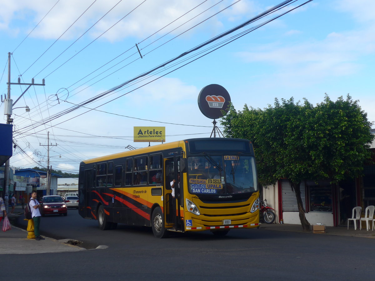 (211'904) - Transnorte de Upala, San Jos - 6593 - Mascarello/VW am 21. November 2019 in La Cruz