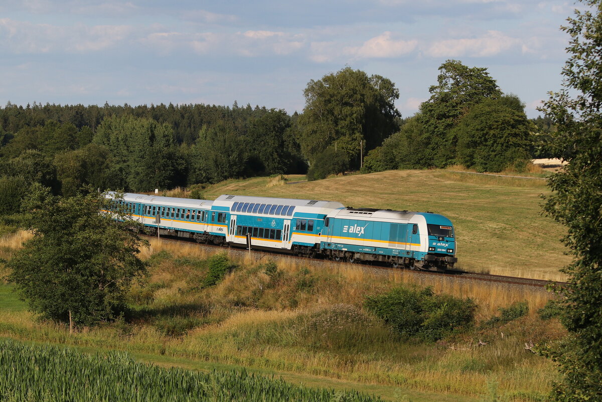 223 064 mit dem  ALEX  am 3. August 2022 bei Escheldorf in der Oberpfalz.