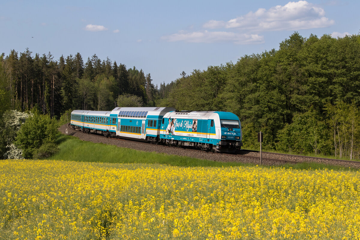 223 072  Gria die Allgu  aus Marktredwitz kommend am 28. Mai 2023 bei Oberteich.