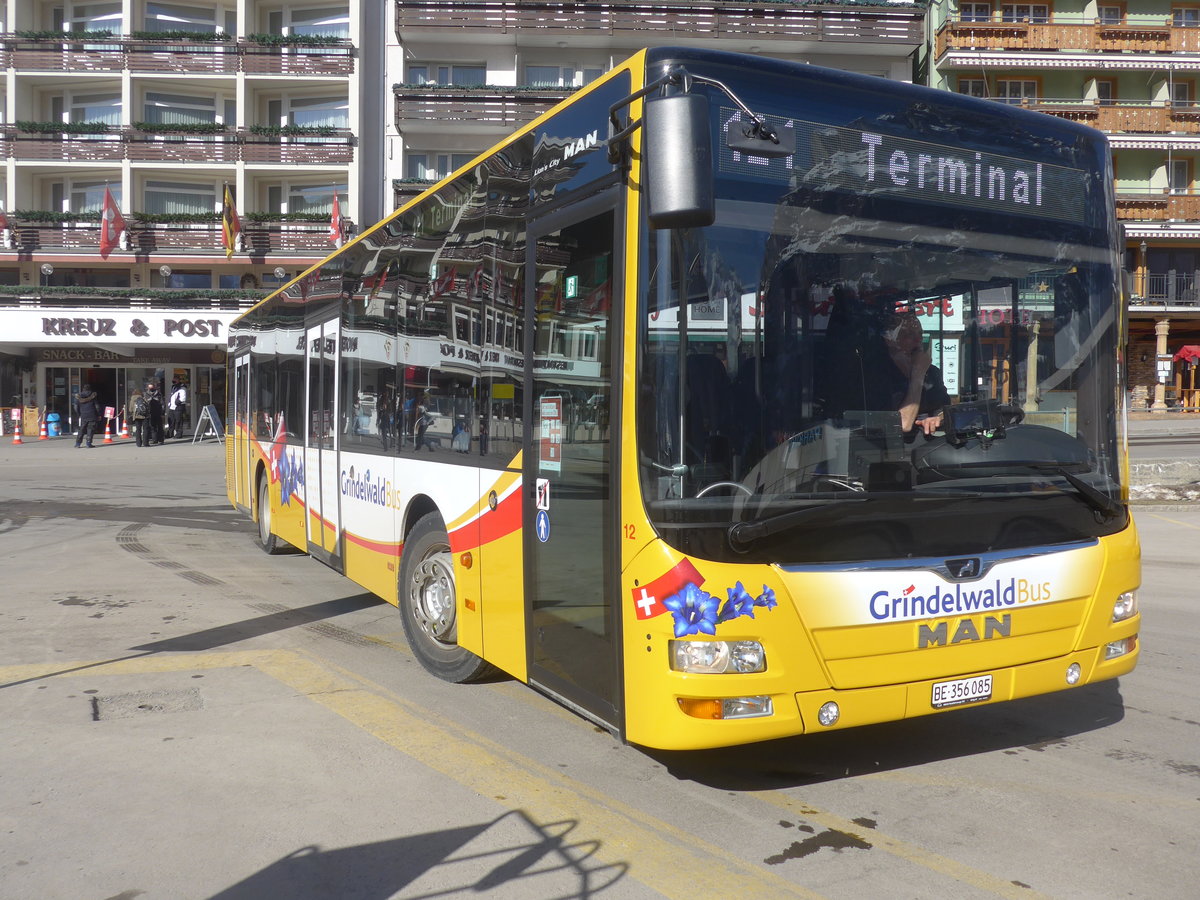 (223'875) - Grindelwaldbus, Grindelwald - Nr. 12/BE 356'085 - MAN am 28. Februar 2021 beim Bahnhof Grindelwald