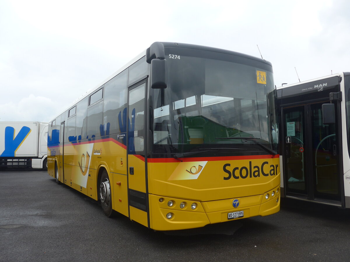 (226'185) - CarPostal Ouest - VD 127'895 - Temsa (ex ARCC Aubonne) am 4. Juli 2021 in Kerzers, Interbus