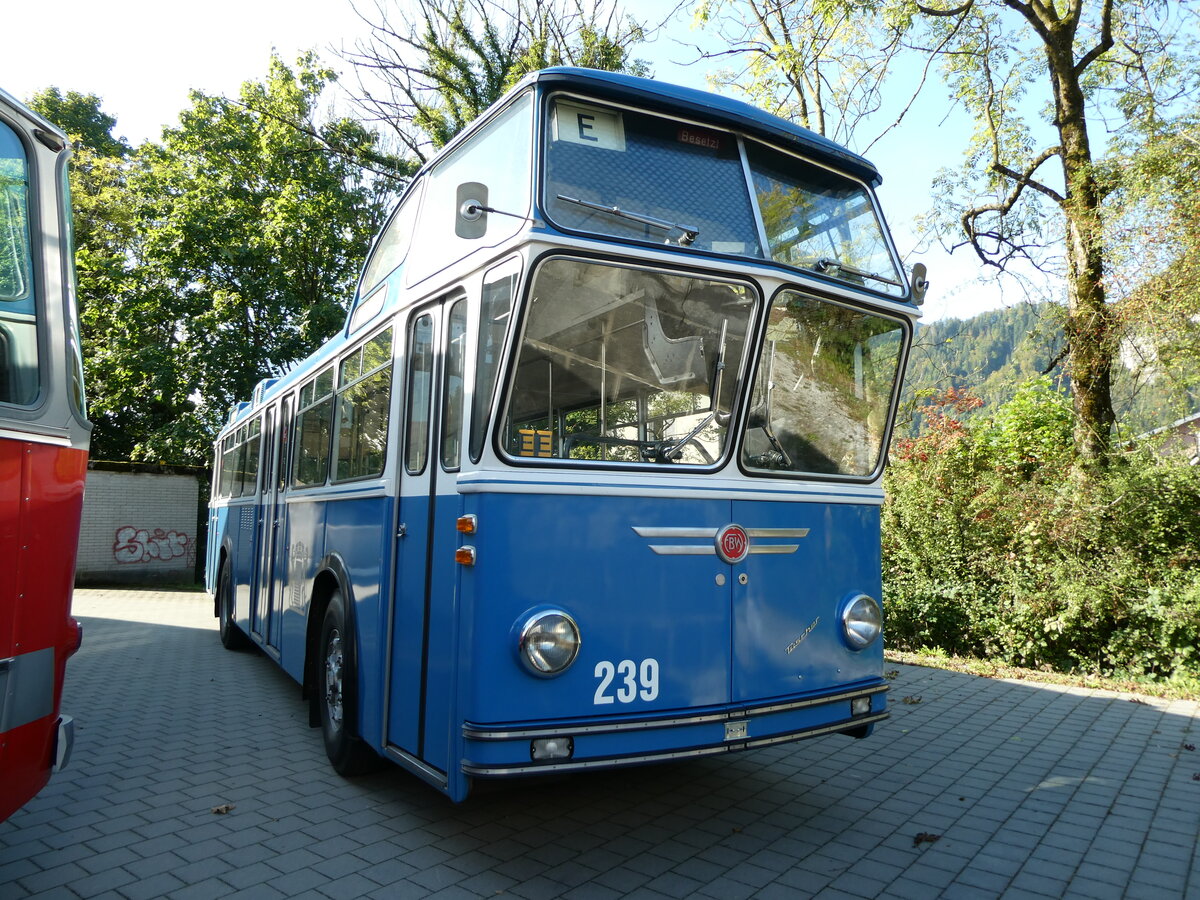 (228'524) - VBZ Zrich (FBW-Club) - Nr. 239 - FBW/Tscher Hochlenker (ex Kamm, Schlieren; ex VBZ Zrich Nr. 239; ex VBZ Zrich Nr. 219) am 2. Oktober 2021 in Nfels, FBW-Museum