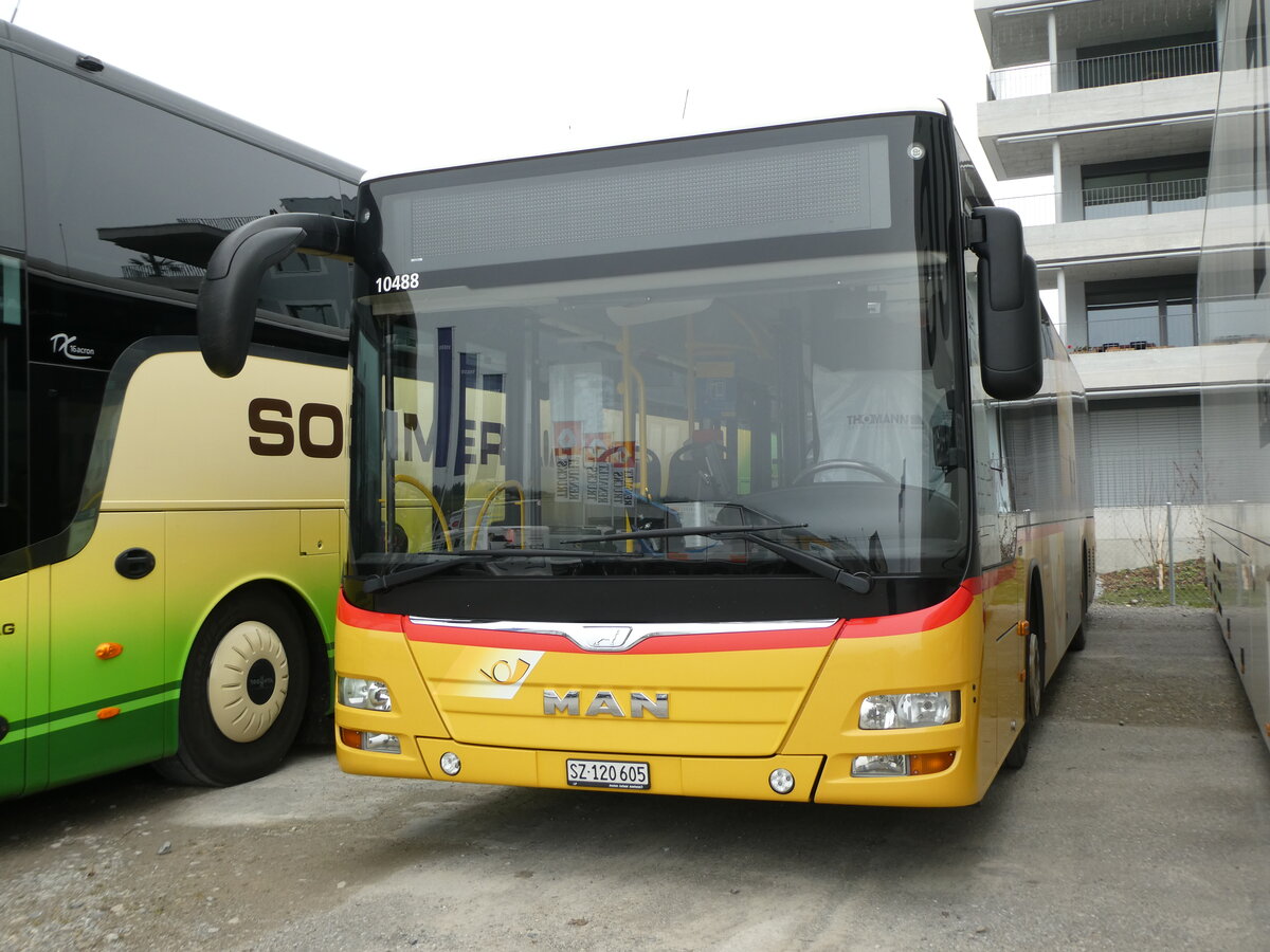 (230'872) - PostAuto Ostschweiz - SZ 120'605 - MAN (ex Kistler, Reichenburg) am 21. November 2021 in Schmerikon, Thomann