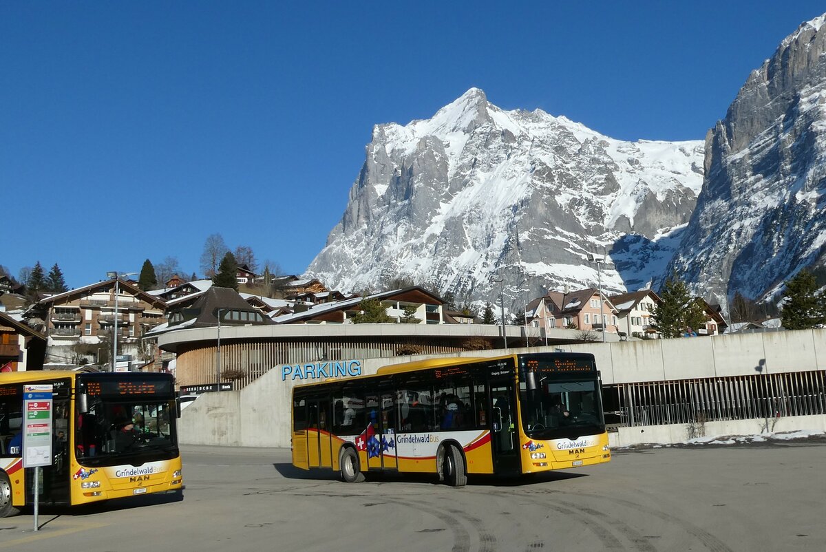 (233'302) - Grindelwaldbus, Grindelwald - Nr. 19/BE 363'305 - MAN/Gppel am 27. Februar 2022 beim Bahnhof Grindelwald