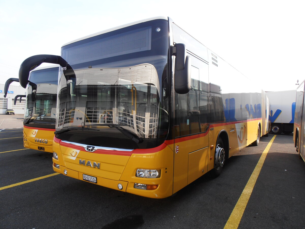 (233'854) - CarPostal Ouest - VD 623'514 - MAN (ex JU 36'038) am 12. Mrz 2022 in Kerzers, Interbus