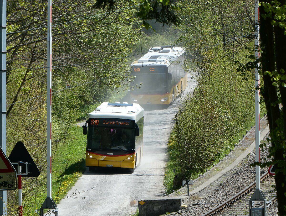 (235'008) - Stutz, Jonen - ZH 407'231 - Scania/Hess (ex PostAuto Bern; ex AVG Meiringen Nr. 67; ex AVG Meiringen Nr. 76; ex Steiner, Messen) am 2. Mai 2022 am Uetliberg