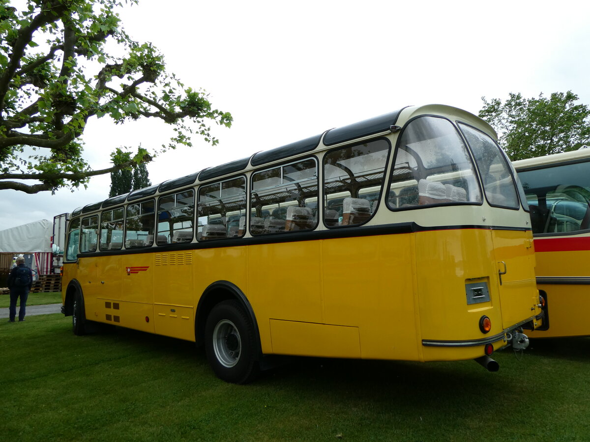 (235'795) - Oldtimer Club Saurer, Arbon - Saurer/Saurer (ex Ryffel, Zrich; ex M+79'500; ex P 24'136; ex P 21'736) am 21. Mai 2022 in Arbon, Arbon Classics