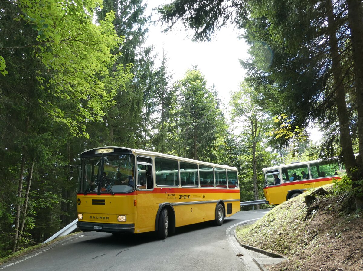 (239'841) - Krummenacher, Zillis - Nr. 74/BE 243'579 - Saurer/R&J (ex AVG Meiringen Nr. 74; ex PostAuto Berner Oberland; ex P 24'357) am 28. August 2022 in Giswil, Emmenwald