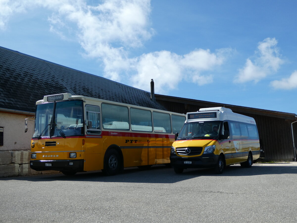 (240'104) - Kolb, Grasswil - Nr. 3/BE 93'915 - Saurer/R&J (ex Schmocker, Stechelberg Nr. 3; ex Schmocker, Stechelberg Nr. 1; ex Gertsch, Stechelberg Nr. 1) + Wyss, Boningen - SO 21'287 - Mercedes am 18. September 2022 in Herbetswil, Hinterer Brandberg 