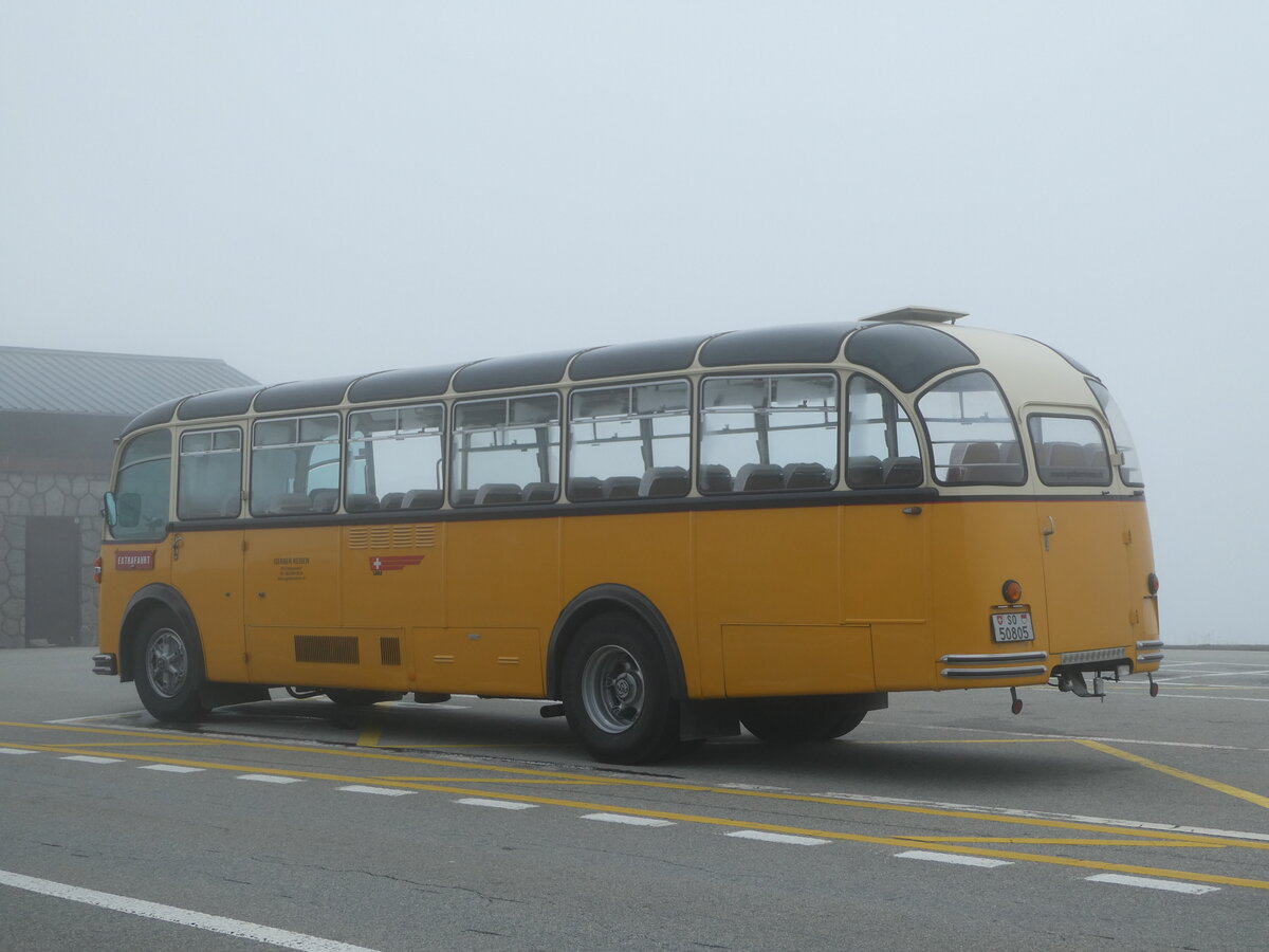 (240'273) - Gerber, Matzendorf - SO 50'805 - FBW/R&J (ex Kontiki, Wettingen; ex P 24'001; ex P 21'501) am 25. September 2022 in Grimsel, Passhhe